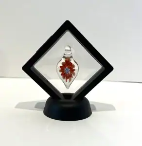 Jon Davidson- Flower in Frame