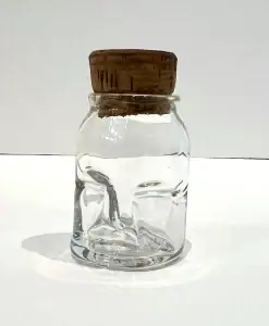 Jon Davidson- Face Jar