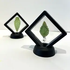 Jon Davidson- Leaves in Frame